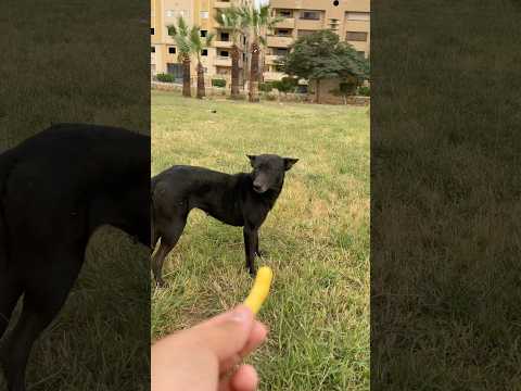 واووو جبرر الخواطرر صلوا على النبي