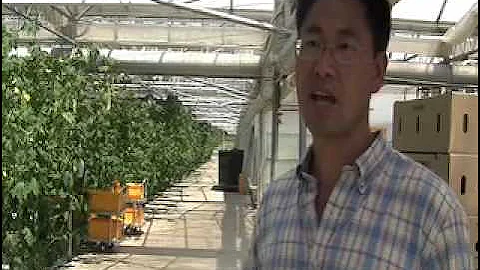 You'll never guess what bitter melon helps cure - DayDayNews