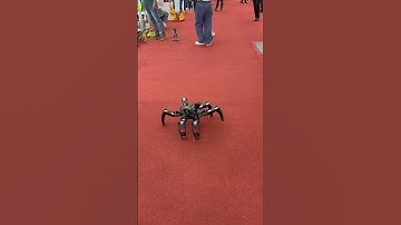 Super Spider robot #china #toys #fair