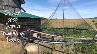 trampoline chicken coop
