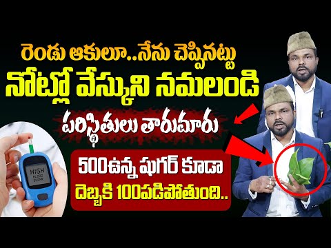 షుగర్ కు సూపర్ మందు వచ్చేసింది | Ultimate Remedy to control diabetes | Hakeem Jabar @ManamTVHealth