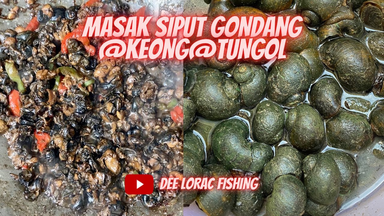 P65 Cari dan masak kicap rempah panas siput sawah atau siput gondang