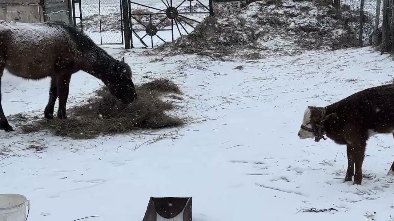 Ата жолы #rek 