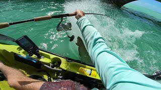 Inches From Death  Florida Keys Fishing Experience Day 2