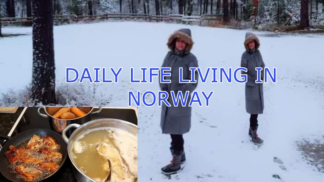 SIMPLE DAILY LIFE LIVING IN NORWAY | SUNDAY DINNER | A LITTLE TRIP ...