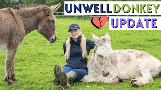 Unwell Donkey Update | This Esme