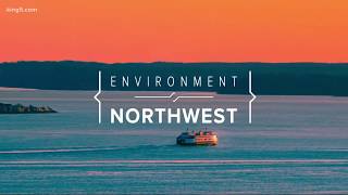 Salmon fishing season debated