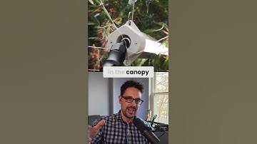 What are the differences between Intercanopy & Subcanopy Lighting?