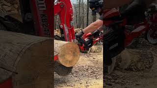 307 Performance 50CC ECHO #spicy #fast #performance #chainsaw