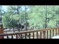 Stunning Bison Ridge Cabin For Sale in Show Low! Stunning Bison Ridge Cabin For Sale in Show Low!