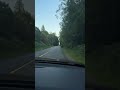 Travel in BC forest🌲 little hard to maintain speed limit. #forest #canada #travel
