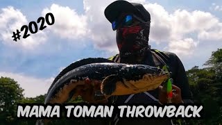 GIANTSNAKEHEAD | Mama Toman #2020 ¦ Throwback - #v19