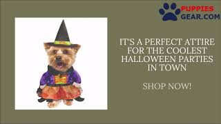 Halloween Witch Costume for Dog | Halloween Costume for Dog