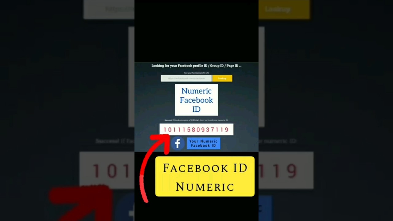 Facebook Profile ID, Page ID & Group ID (Numeric)