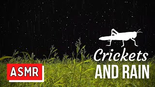 🦗 Cricket and Rain Sounds 🌧️ Twinkling Stars, Sounds For Sleeping Rain Crickets - 8 Hours