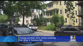 Teen Shot While Walking Dog In Somerville