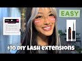 $10 DIY lash extensions!! Easy!!