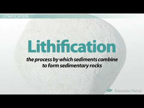 Video: Hvad er processen med lithificering?