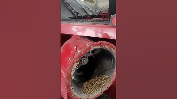 Corn and beans do this 😳