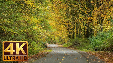 4K (Ultra HD) Relaxation Video - URBAN AUTUMN - Nature Relaxation Footage with Piano Music - 2 Hours