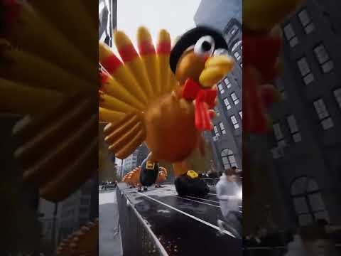 When the turkeys