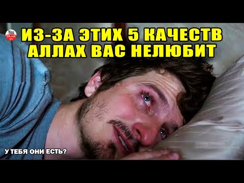 Видео: Вреден ли е мъхът върху дървото?