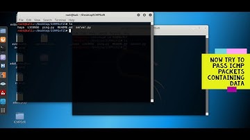 Tunneling using ICMP with Haya Abdullah