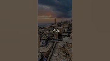 تلاوة مؤثرة القارئ ريان المحيسني سورة القصص