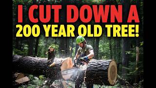 Live: Precision Tree Climber vs Giant 200 Year Old Tree