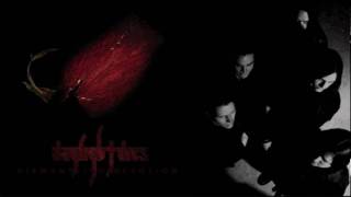 Daylight Dies - Solitary Refinement