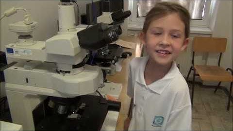 FunGlass junior school