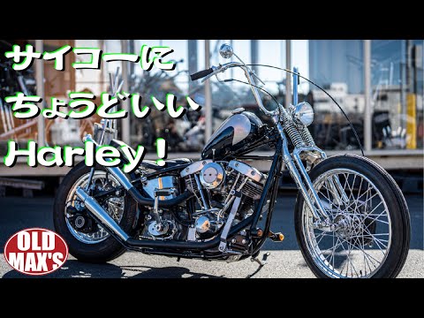 マリオ　フュージョンバイエルエーチョッパーズ マリオ フュージョンバイエルエーチョッパーズ マリオ