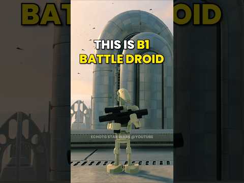 This is B1