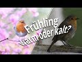 Wetter Salzburg 16 Tage Vorhersage