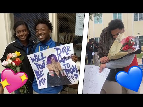 i-asked-my-crush-out-to-prom-&-got-rejected!!-|-best-promposals-ever!!!