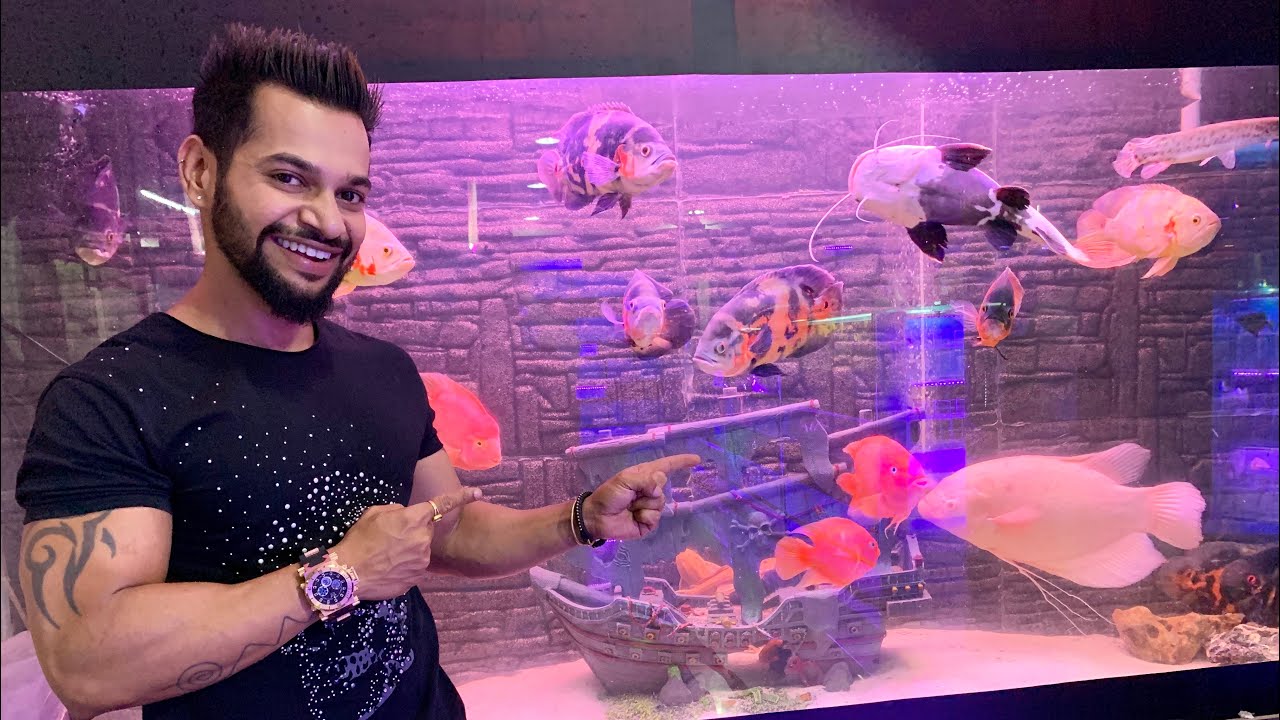 biggest-pet-shop-in-nagpur-nagpur-daily-vlogs-vlog-26-ani-ray
