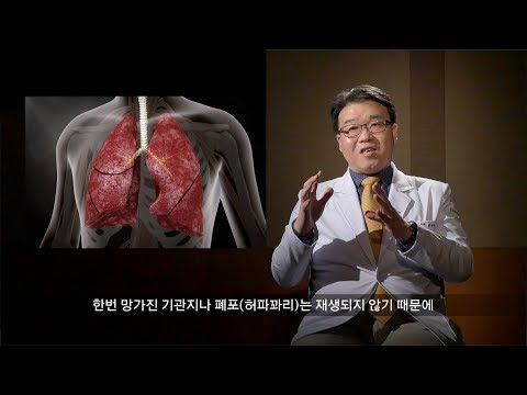 숨을 쉬기 위한 전쟁! 기관지를 위협하는 미세먼지