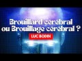 Brouillard crbral ou brouillage crbral 