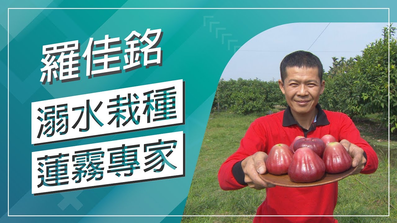 草地狀元-溺水栽種蓮霧專家(20190318播出)careermaster