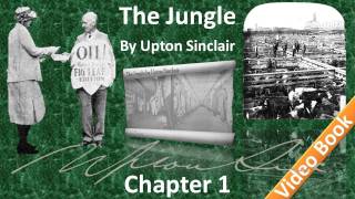 The Jungle by Upton Sinclair - Chapter 01