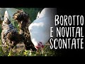 SCONTO FARMER per INCUBATRICI Borotto e Novital