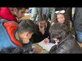 СКФУ провел неделю точных наук в школах Сирии