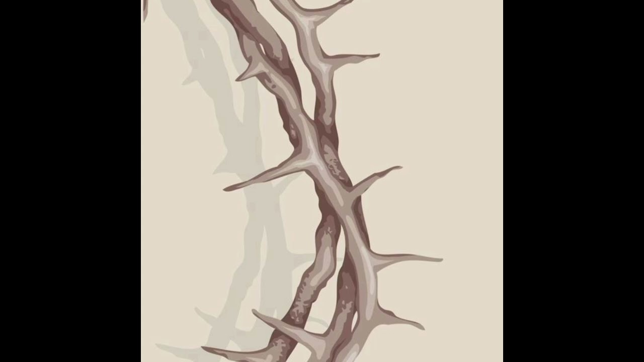 Spitjo - i know (prod by 