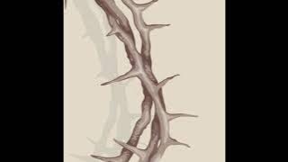 Spitjo - i know (prod by @prodwillybeats )