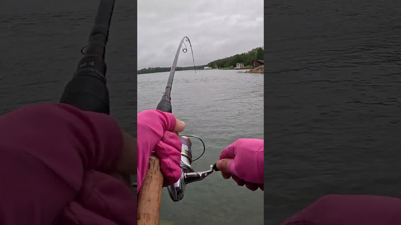 Щука любит желтый!! 