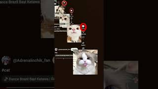 #cat#join#fypppppppppp#