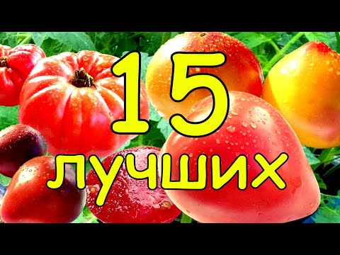 ТОЛЬКО ЛУЧШИЕ сорта