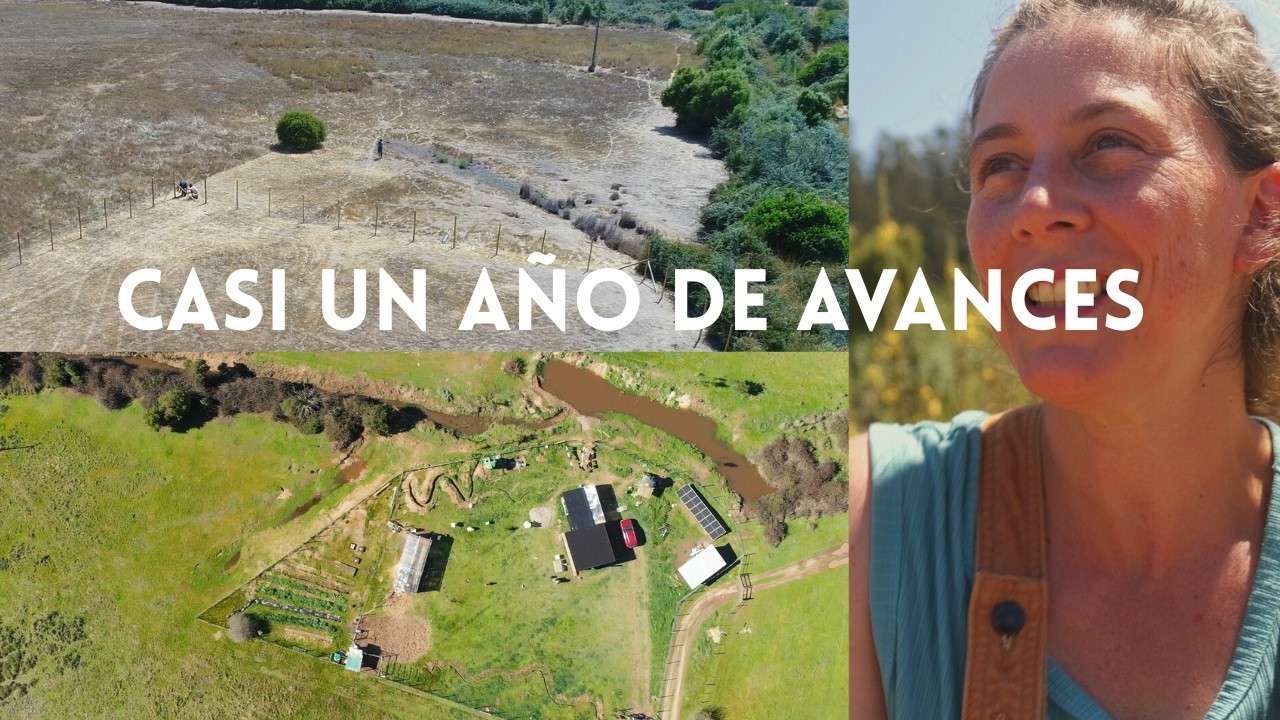 Un año de avances |  Una familia de cinco y lo que hemos hecho en un Año desde Nada