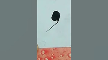 Fine Calligraphy for Beginners Nastaleeq Calligraphy urdu calligraphy