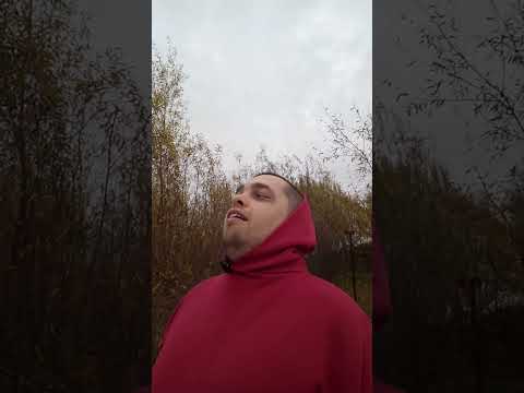 Джоэл Пропал 🤣 #shorts